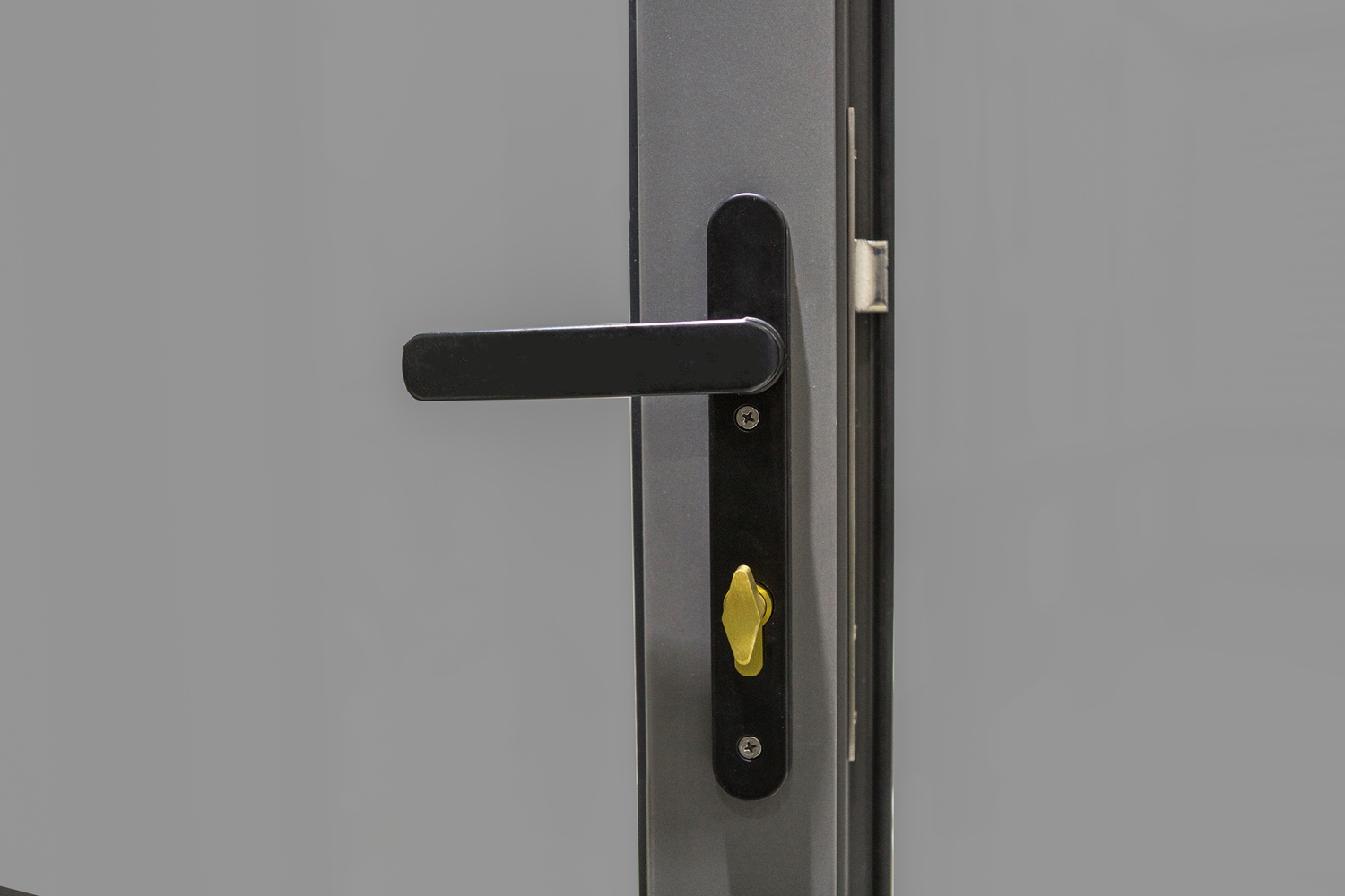 Aluminium Casement door (AL110)